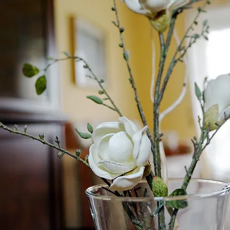 Casa Da Andrea Apartment